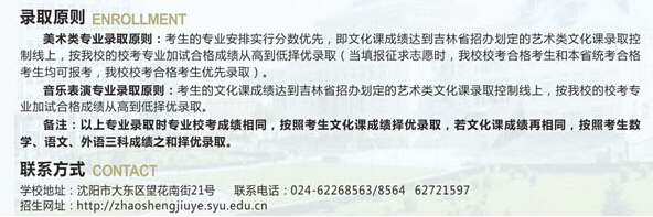 沈阳大学2015年吉林省艺术类录取规则