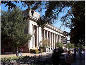 金山大学