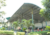 林登学院