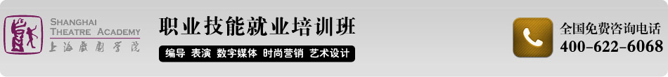 上海戏剧学院职业技能培训班